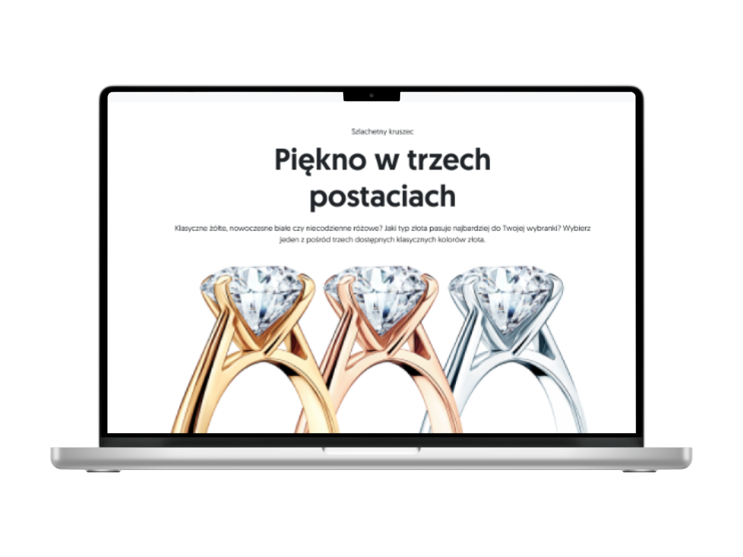 Savicki